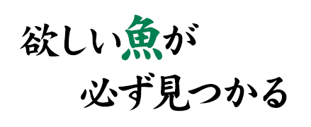 欲しい魚が必ず見つかる