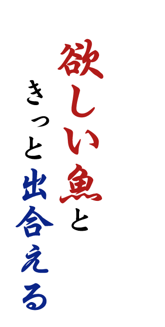 欲しい魚ときっと出合える