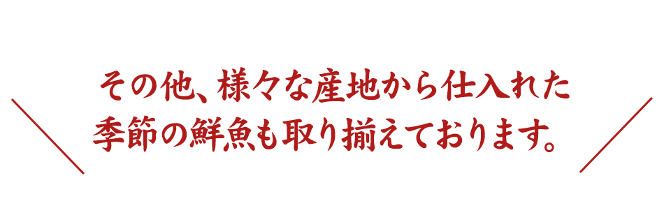 季節の鮮魚も取り揃えております