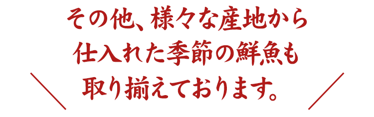 季節の鮮魚も取り揃えております